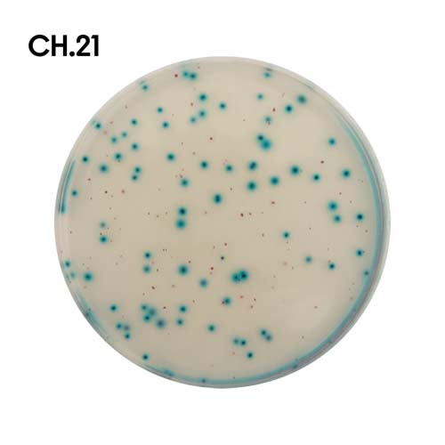 Chemie_motiv21.jpg Chemie_motiv21.jpg